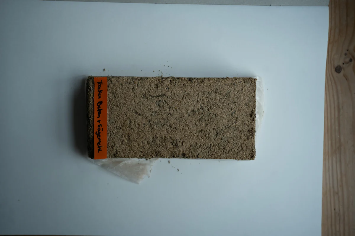 Cast sample of dry beton with sawdust