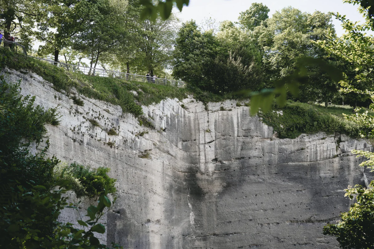 Quarry wall overgrown with trees